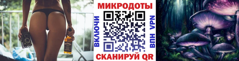 купить наркотики сайты  Алатырь  Галлюциногенные грибы Cubensis 